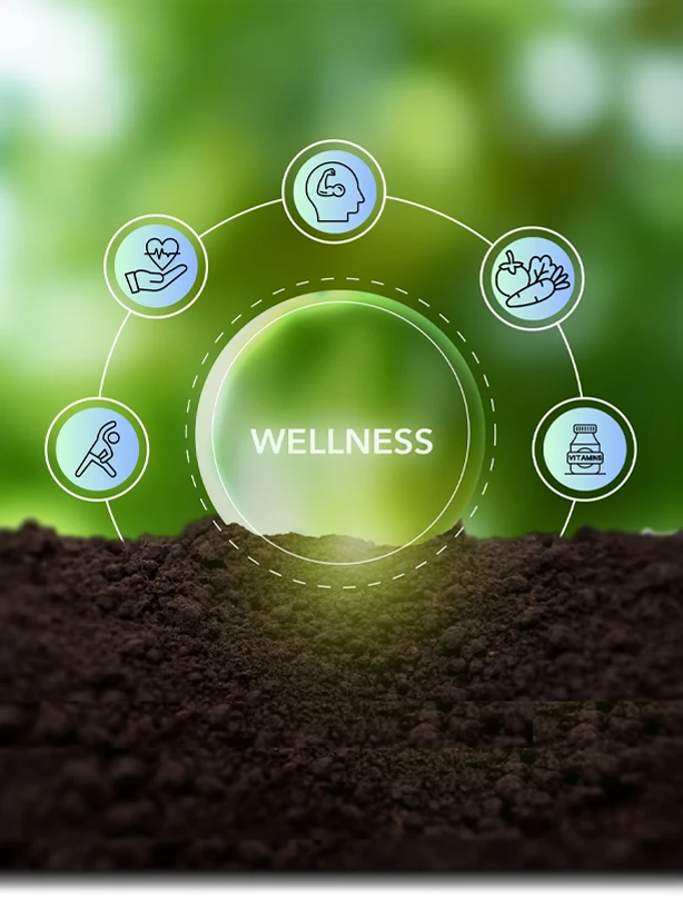 Chiropractic West Dundee IL Nutritional Wellness